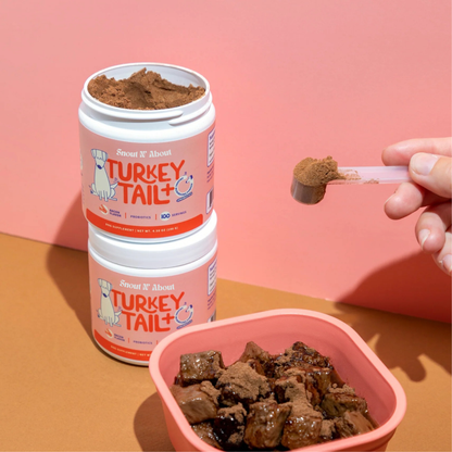 Turkey Tail Probiotic +