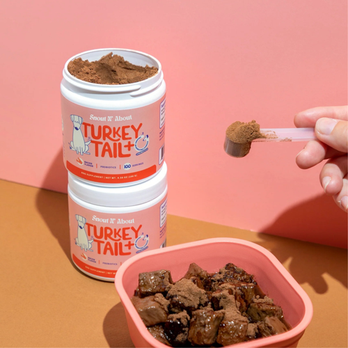 Turkey Tail Probiotic +