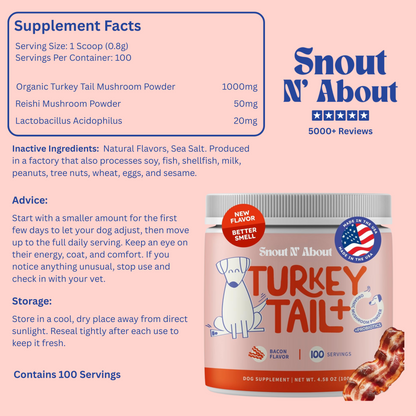 Turkey Tail Probiotic +