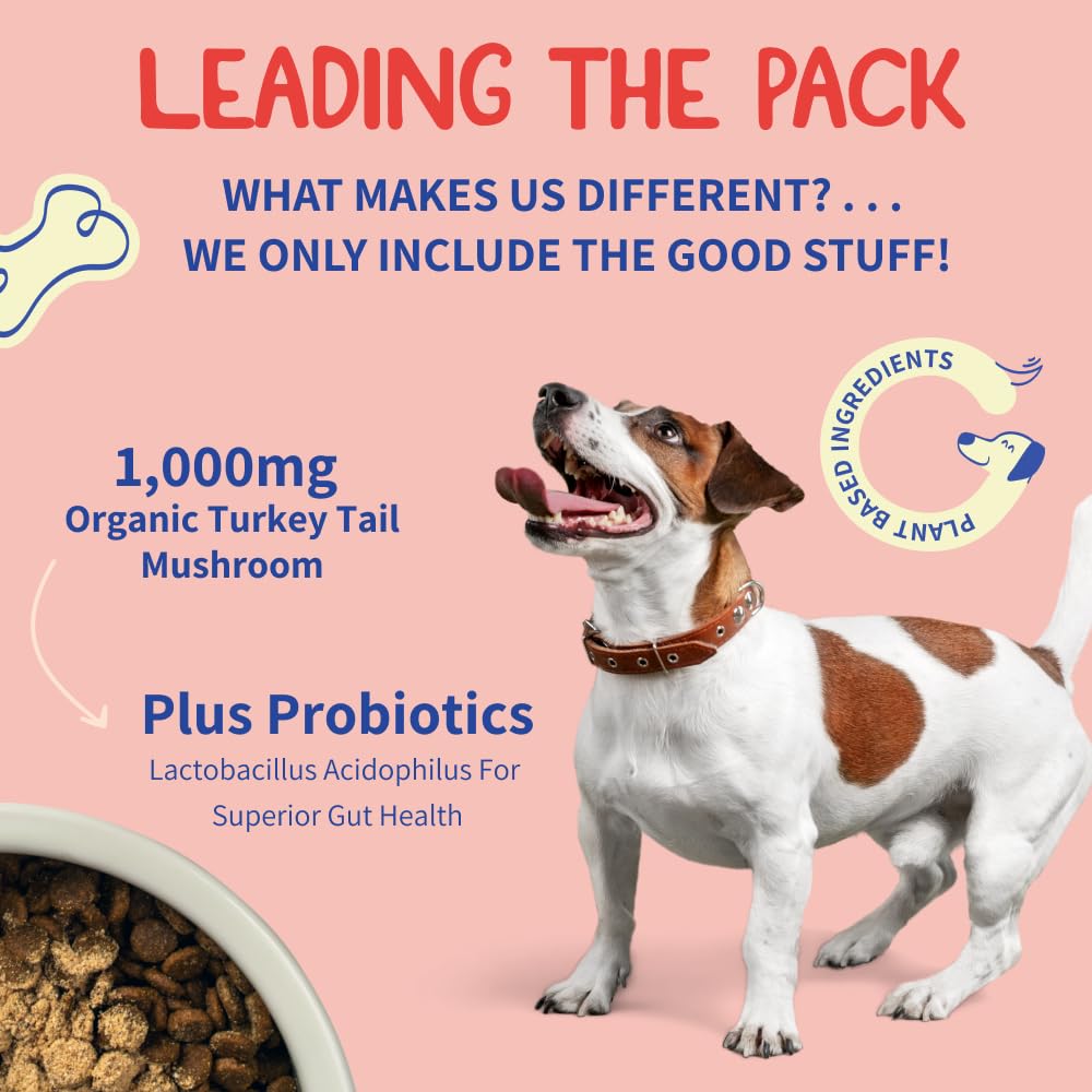 Turkey Tail Probiotic +