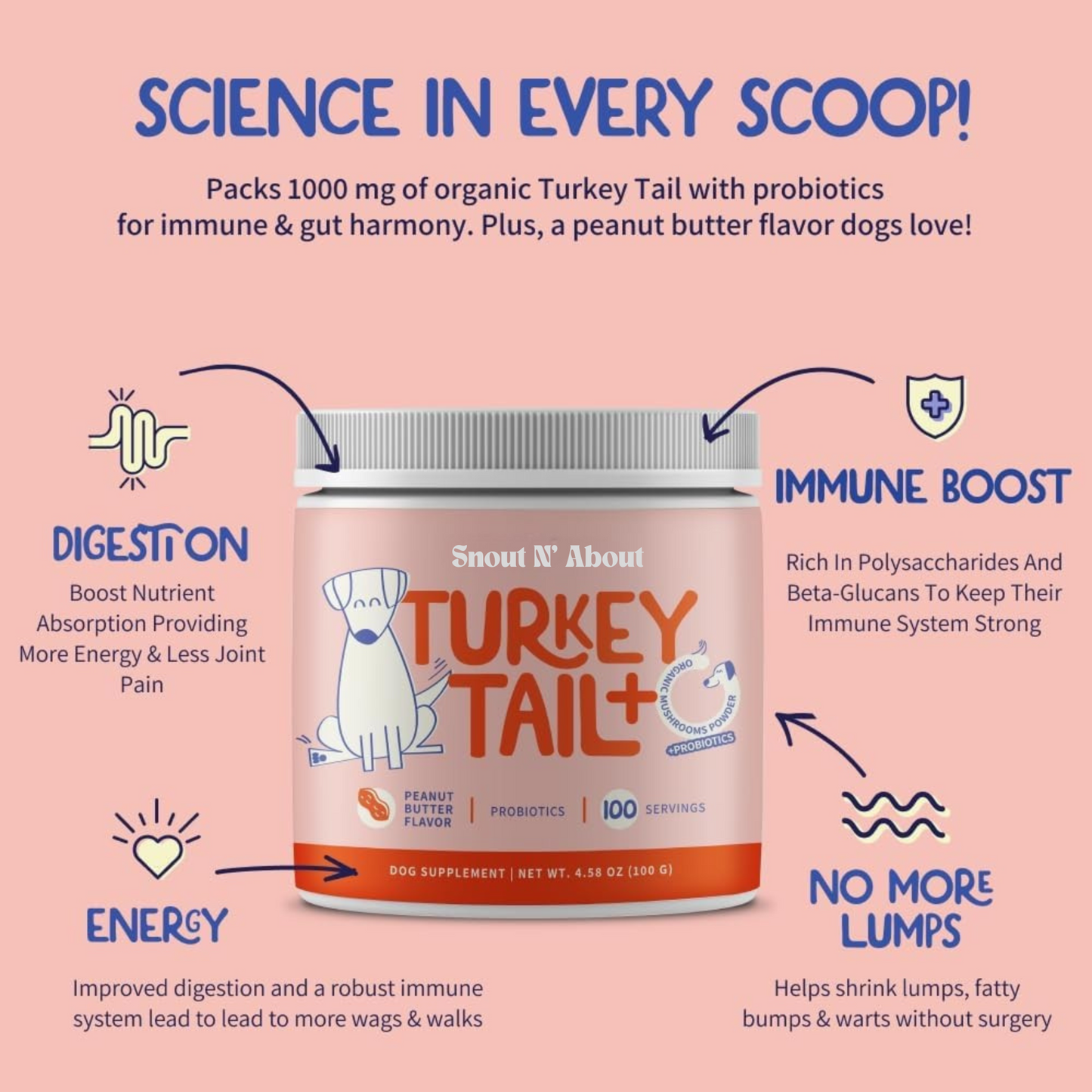 Turkey Tail Probiotic +