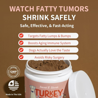 Turkey Tail Probiotic +